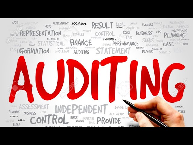 Origin and Evolution of Audit - Short & Simple #riyapatni
