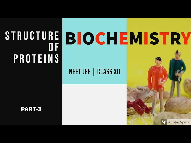 STRUCTURE OF PROTEINS | SCIENCE TUTORIALS | POLYPEPTIDE BOND