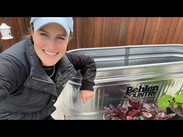 Back In The Garden! New Conatiner Raised Beds | VLOG🍅