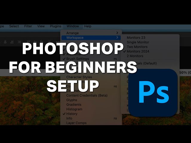 Photoshop for Beginners  -  Lesson One - Set Up (Free Class)