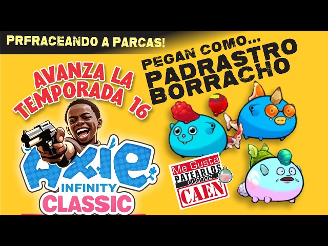 Axie Classic temporada 16 Mejores Equipos del minitorneo