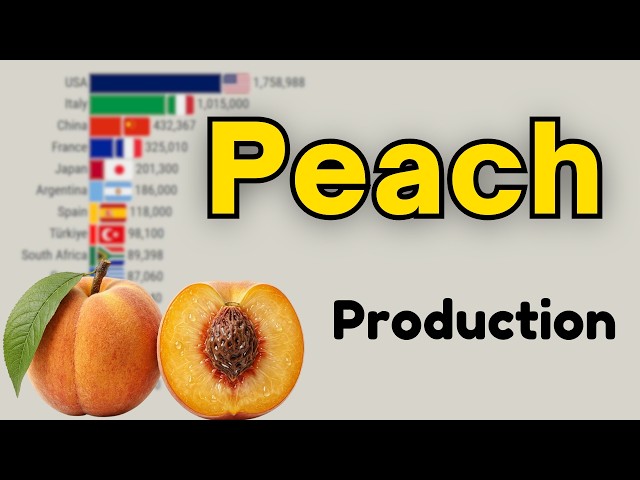 Top 15 Peach Producing Countries Historical Data Race Ranking 1961–2026