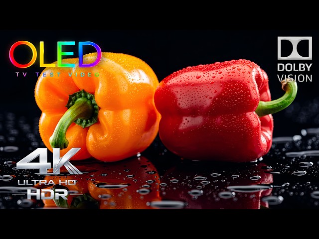 Don't Buy an OLED Until You Watch This! | 4K HDR 240FPS Dolby Vision TV Test (4K Video)