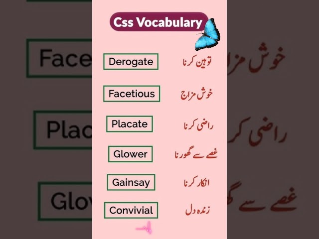 CSS For Beginners: Learn In 10 Seconds