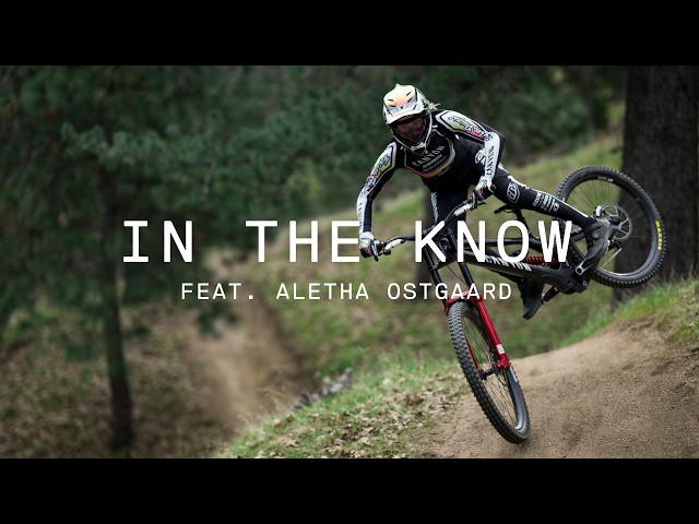 In The Know - Aletha Ostgaard