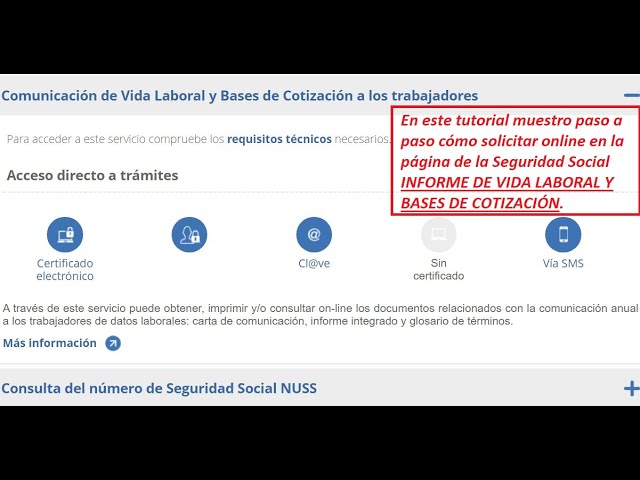INFORME VIDA LABORAL Y BASES DE COTIZACIÓN