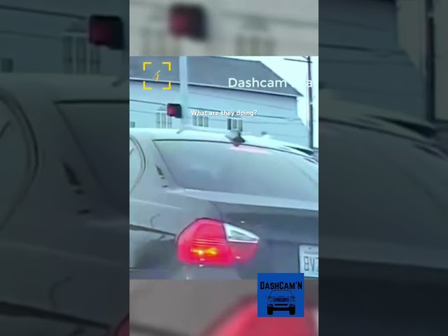 Most Unusual Activities Ever Caught On Camera! #shorts