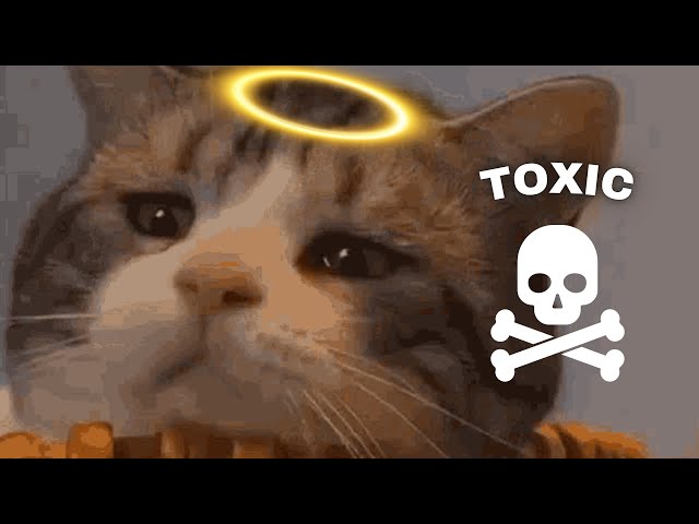 Don’t Kill Your Cat