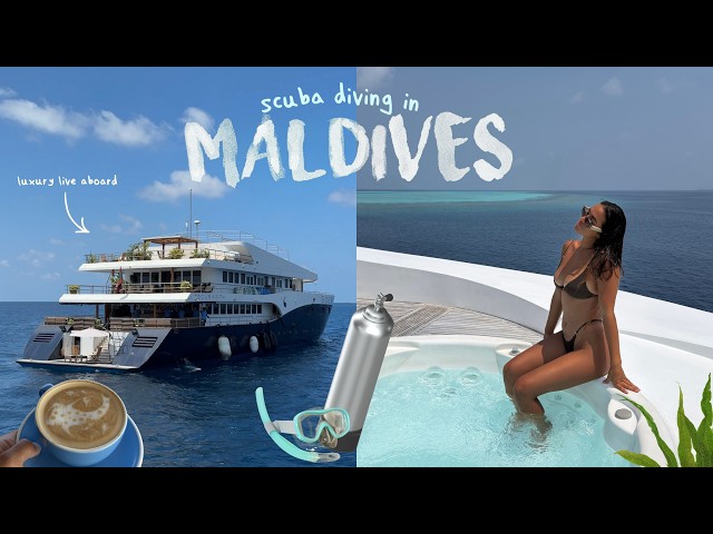 luxury scuba dive trip in Maldives | Scuba Spa