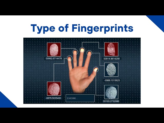 GSN - Dermatoglyphics Multiple Intelligences Test