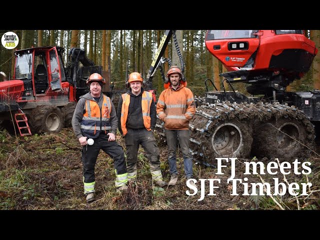 The independent forestry firm 'taking on the big boys'