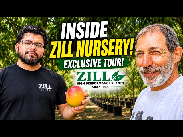 Exclusive Tour of Zill Nursery | The Home of Florida’s Best Mangoes