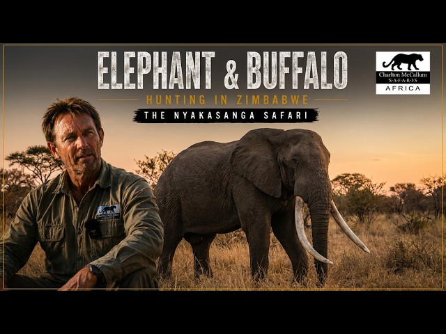 Elephant & Buffalo Hunting Deep Into Wild Africa  Nyakasanga