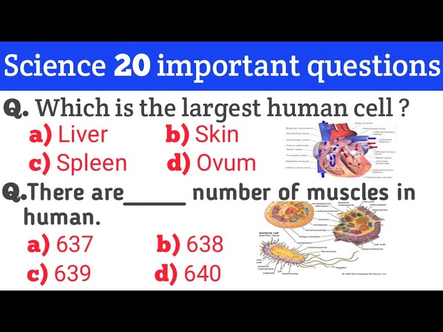 Science GK || Science GK in English || Science Quiz | Science GK Questions & Answers