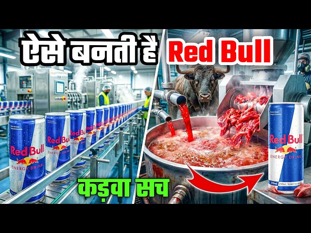 Red Bull कैसे बनती है? 😳 Factory का कड़वा सच | Energy Drink Process