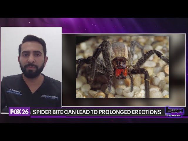 Prescription pill warning, poisonous spider bite that can lead to prolonged erections