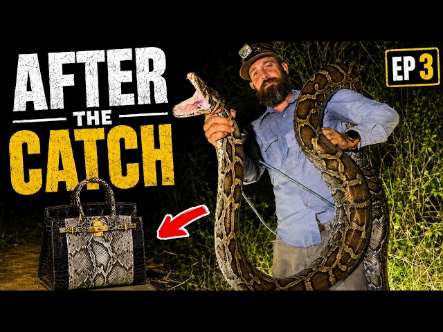 How a Python Becomes a $30,000 Handbag | Saving the Glades EP3