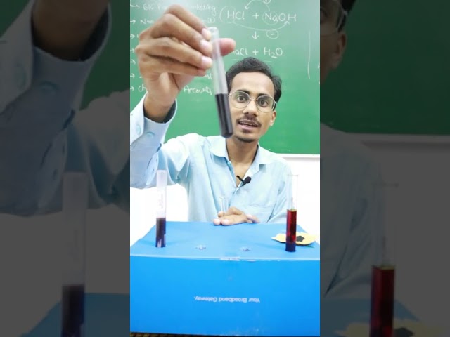 🧪Test for Starch🧪 | Class 6 Science Chapter 2 | Learn Practically #science #class6 #starchtest