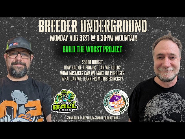 Build the Worst Project: How to Fail at Ball Python Breeding