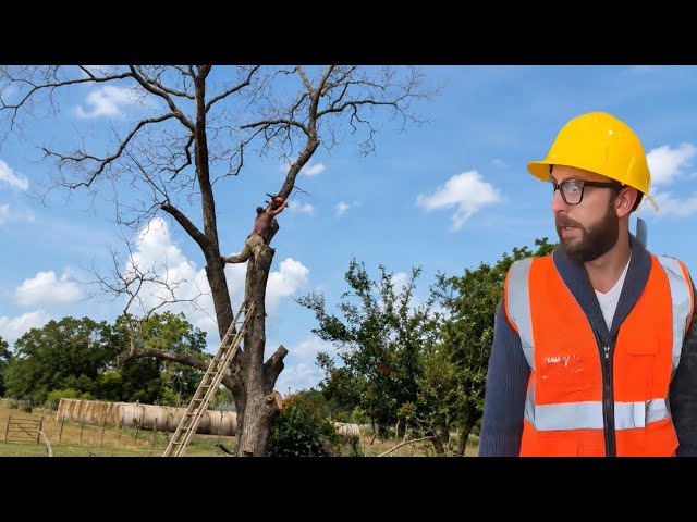 Part 5✅ Think Smart, Work Smart💯✅ #adamrose #amazing #skills #engineer #smart #workers 