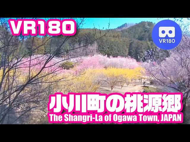 [VR180] The Shangri-La of Ogawa Town, JAPAN - 小川町の桃源郷