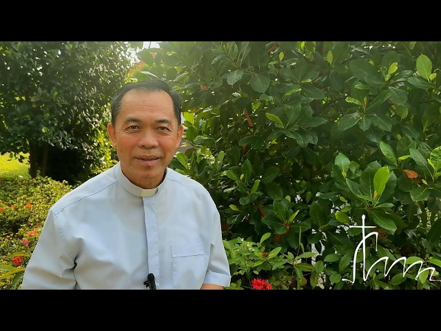 22nd Sunday in Ordinary Time 2026 Gospel Reflection