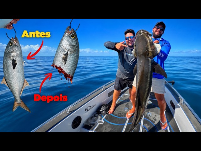 EP.05 - WE'RE BACK WHERE THE MONSTERS HIDE!😱 Offshore Fishing