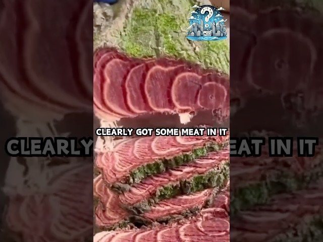 The Tree With Meat Inside🌳🍖🥩