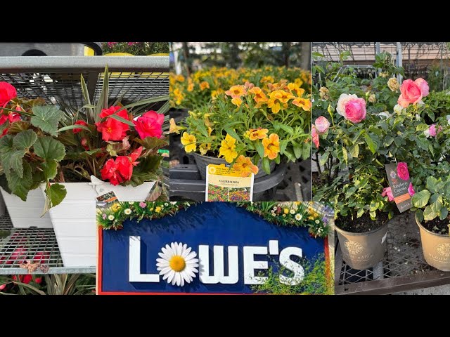 LOWES BEST NEW PLANTS-ARRIVALS FOR SPRING/SUMMER| HOW TO MAKE YOUR GARDEN BEAUTIFUL?