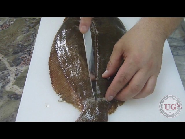 Fileteado de lenguado