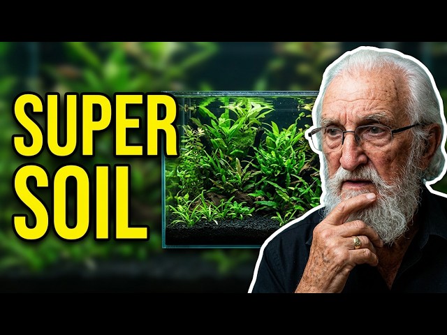The Science of Aqua Preta Substrate.