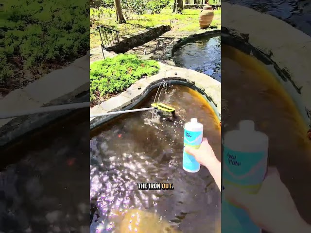 Extreme Pool Cleaning Orange Pool #poolcleaning #thep00lguy #poolmaintenance #pool #poolservice