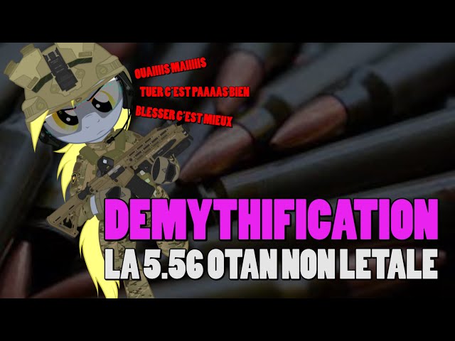 DEMYTHIFICATION DE LA 5.56