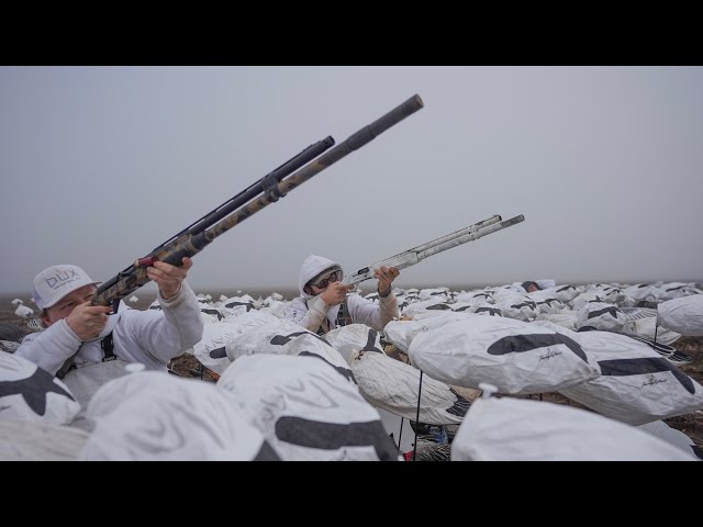 Opening Day of Snow Goose Hunting Shooting a 23 Round X-Rail and 10 Gauges!!