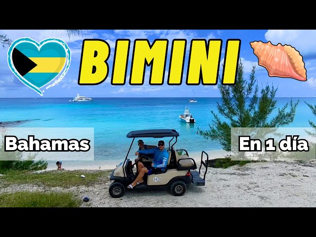 TODO lo que se puede hacer en 1 Día en BIMINI, Bahamas | Parada de Crucero IMPERDIBLE 🛳️