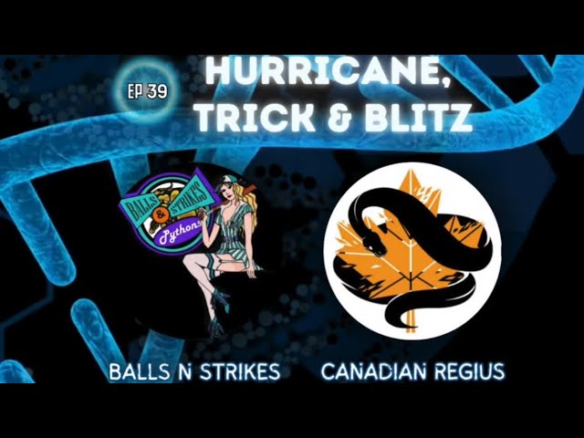 THE GENETIC CANVAS- Hurricane Ball Python a.k.a. “Blitz/Trick” EP39