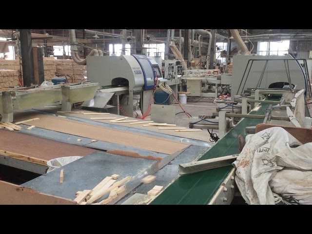 Fully automatic wood sorting system 2
