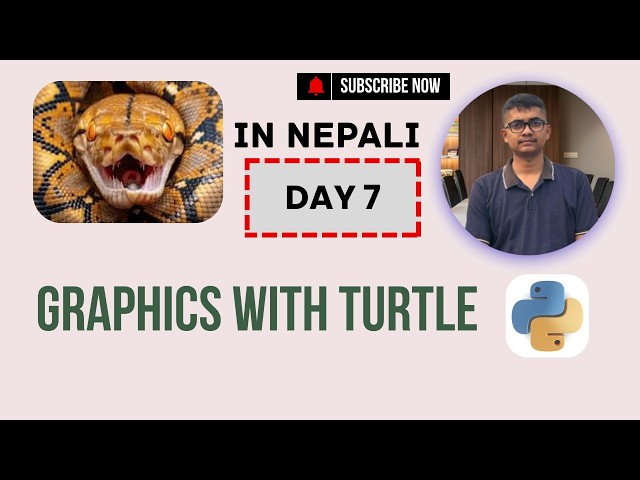 Graphics with Turtle | Turtle in Python | Day 7 | Beginners Series Level 2