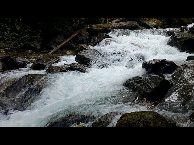 🌲 This Washington Trail Sounds Like a Movie Score