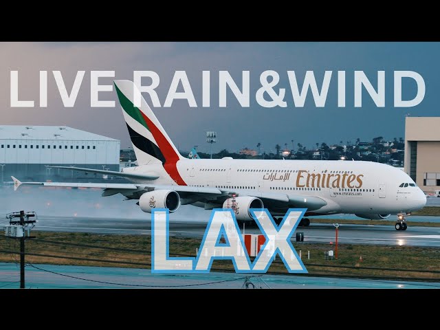 🔴 LIVE RAIN & WIND at LAX | LAX LIVE | LAX Plane Spotting | Live ATC 📻