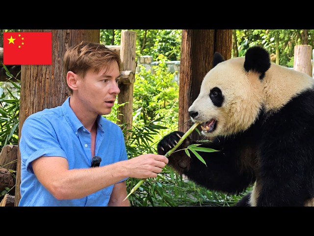 The China Western Media NEVER Shows You!