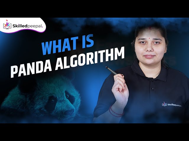 Panda Algorithm kya hota hai? | Google SEO Update Explained in Hindi + English | Skilled Peepal