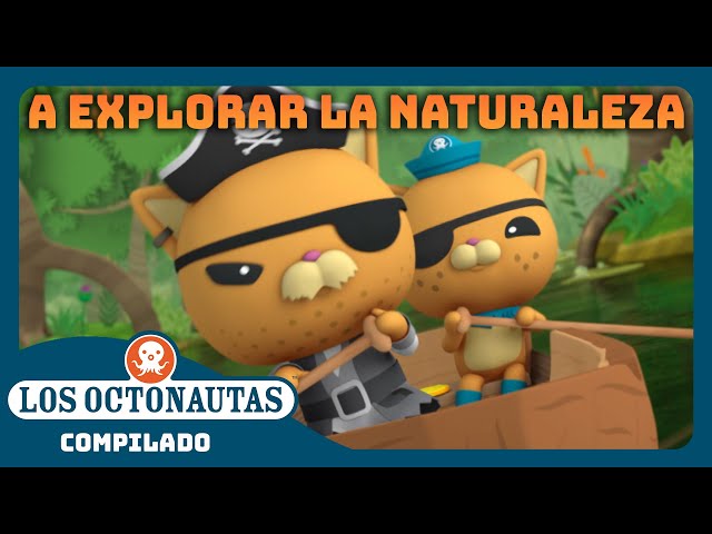Los Octonautas - 🦎 A explorar la naturaleza 🦩 | Episodios Completos | Compilado