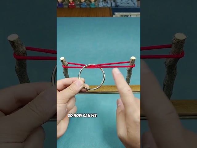 Magical topological puzzle, how to remove the ring without breaking the rope?#iq #iqtest #puzzle