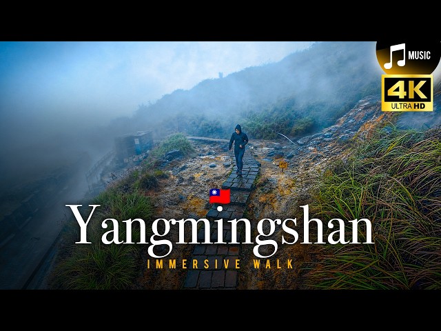 Rain Walk 4K ⛈️ Thunderstorm on Yangmingshan Volcano — Taipei Slow TV 陽明山