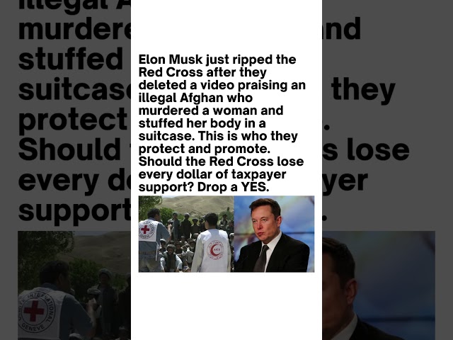 Elon Musk Slams Red Cross Over Viral Video