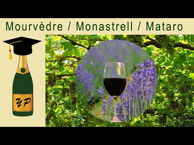 Mourvèdre, Monastrell, Mataro — a grape of many names
