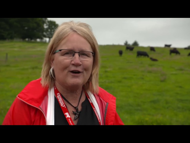 World Angus Forum 2017 - day 7