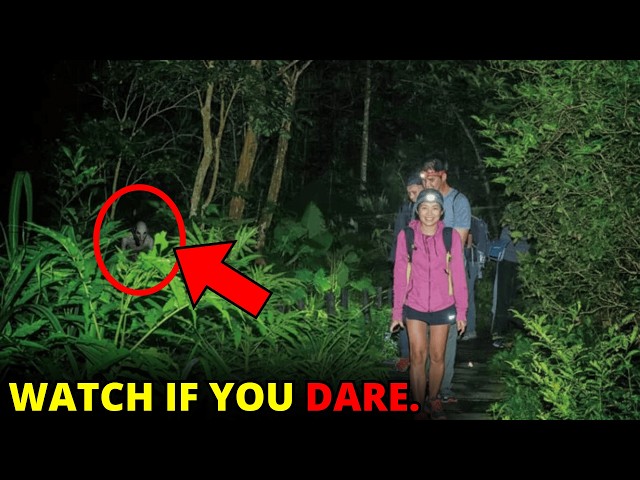 100 SCARIEST Creature Encounters Caught In The Woods | Mega Comp V60