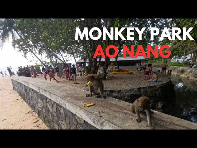 Thailand 360° – Ao Nang Monkey Trail Park Sanctuary | 4K HD 2026